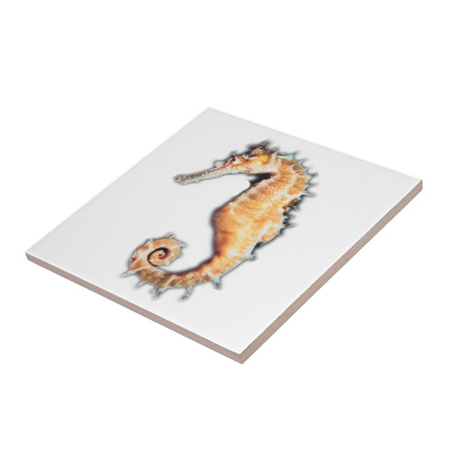 Sea horse Tile (2) sizes (Side)