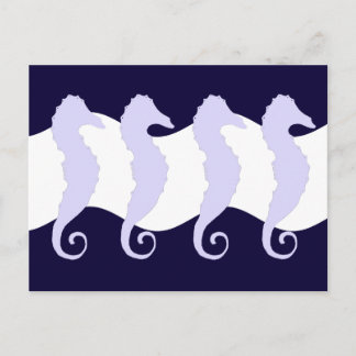 Sea Horses 3 Postcard