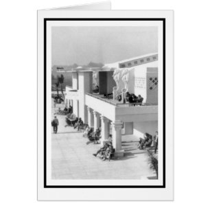 Sea Horses at the Sarasota Lido Beach Casino