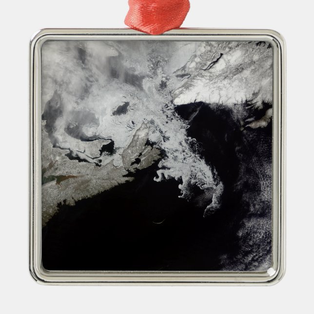 Sea ice fills the Gulf of St Lawrence Metal Tree Decoration (Front)