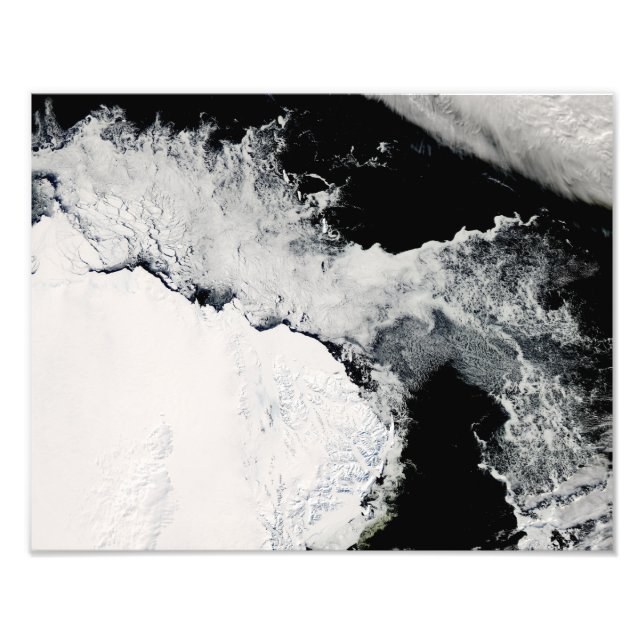 Sea ice in the Southern Ocean Photo Print (Front)