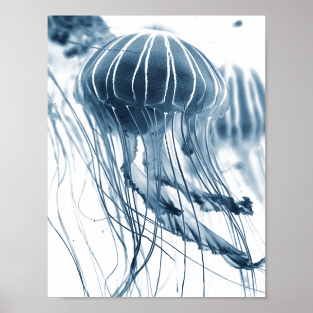 SEA JELLYFISH PHOTOGRAPHIC POSTER (Front)
