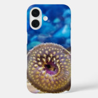 Sea Lamprey