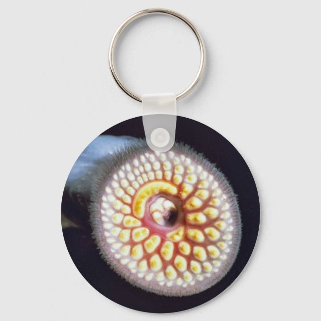Sea Lamprey Key Ring (Front)