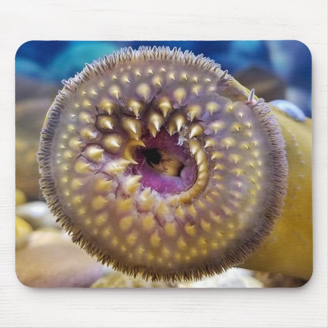 Sea Lamprey mouth Mouse Pad (Front)