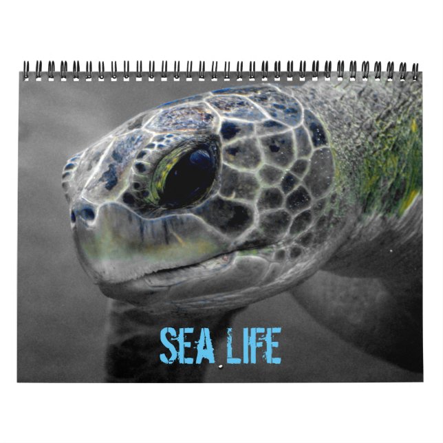Sea Life Calendar (Cover)