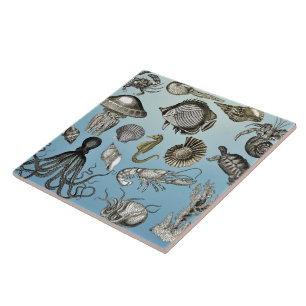 Sea Life Ceramic Tile