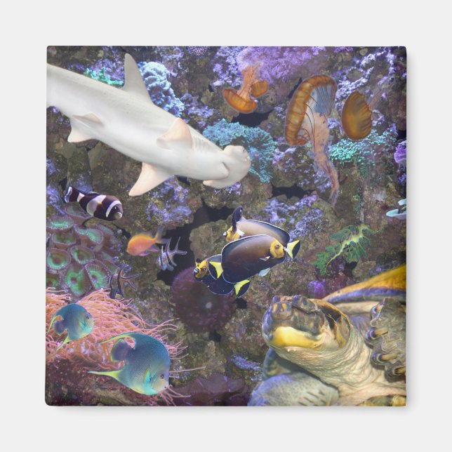Sea Life Magnet (Front)
