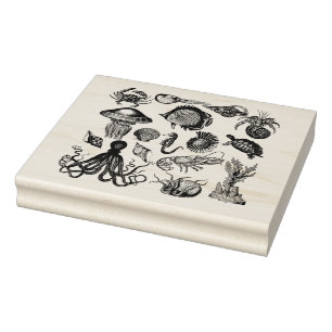 Sea Life  Rubber Stamp