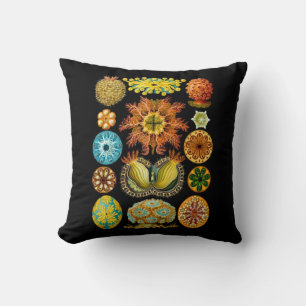 sea life sea creatures print cushion