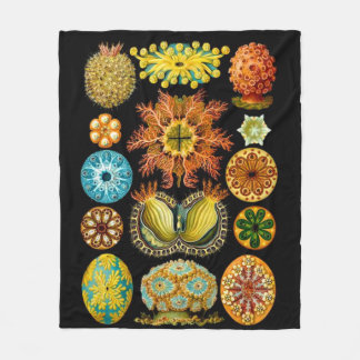 sea life sea creatures print fleece blanket