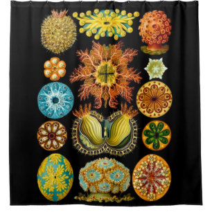 sea life sea creatures print shower curtain