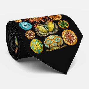 sea life sea creatures print tie