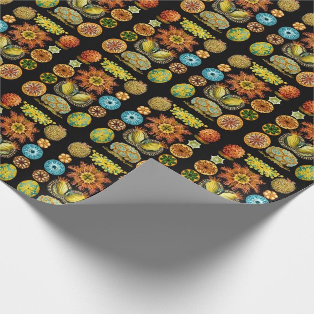 sea life sea creatures print wrapping paper (Corner)