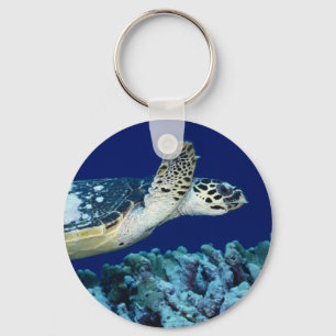 Sea Life - Sea Turtle Key Ring