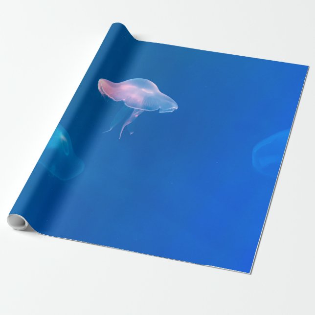Sea Life Wrapping Paper (Unrolled)