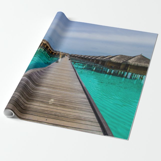 Sea Life Wrapping Paper (Unrolled)