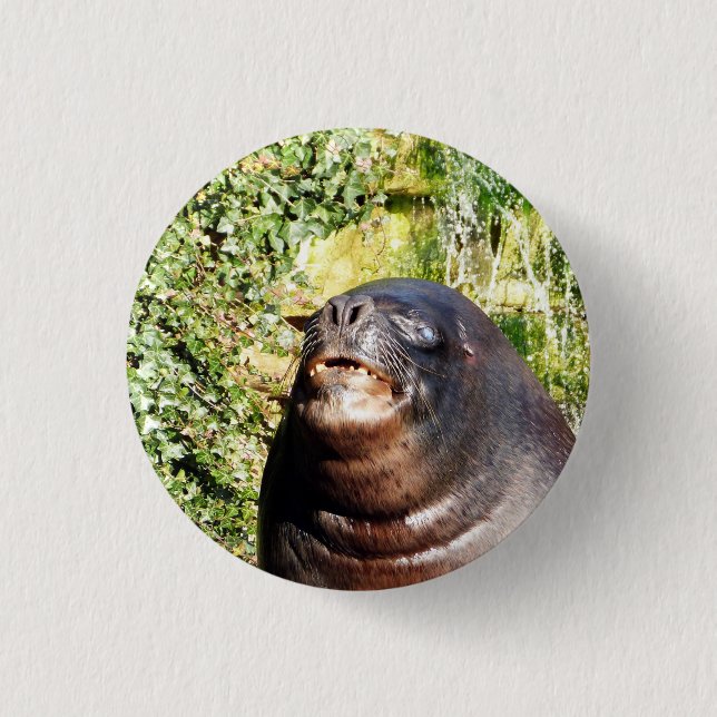 SEA LION   3 CM ROUND BADGE (Front)