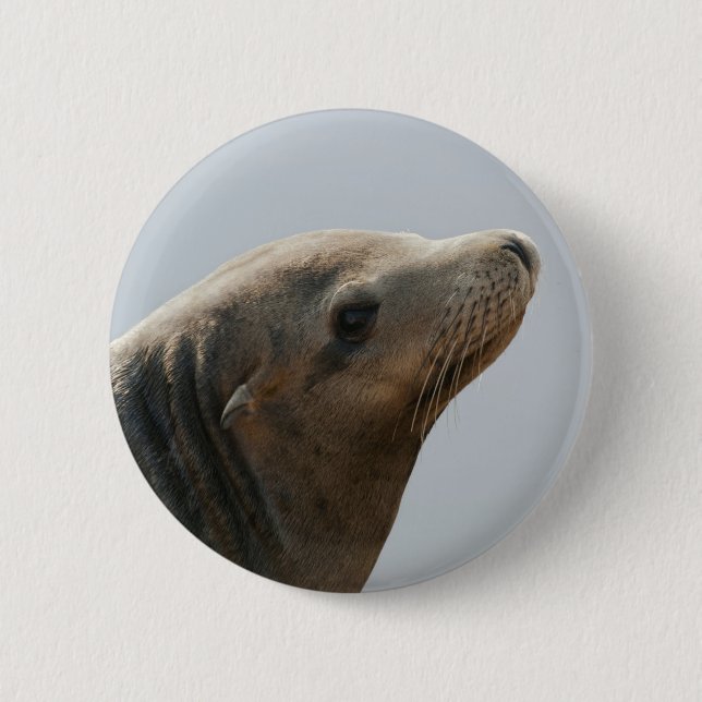 Sea Lion 6 Cm Round Badge (Front)