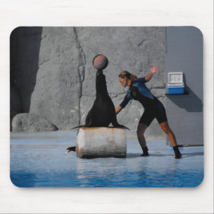 Sea lion balancing a ball in Spain Mouse Pad