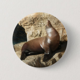 Sea Lion button