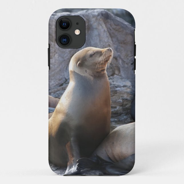 Sea Lion Case-Mate iPhone Case (Back)