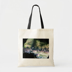 Sea Lion Cave, OR Tote Bag