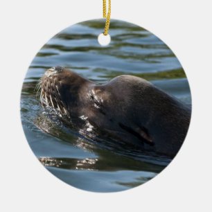 Sea Lion Ceramic Tree Decoration