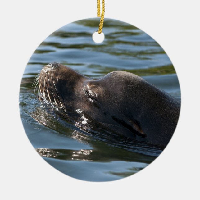 Sea Lion Ceramic Tree Decoration (Front)