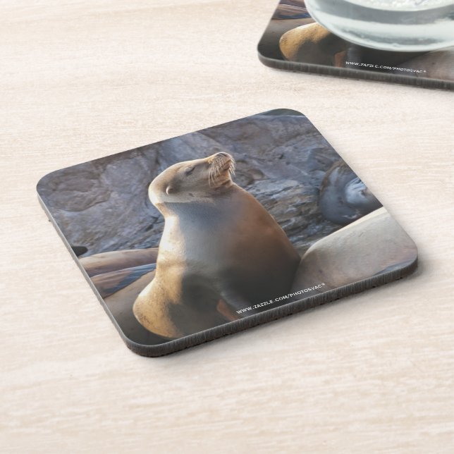 Sea Lion Coaster (Left Side)