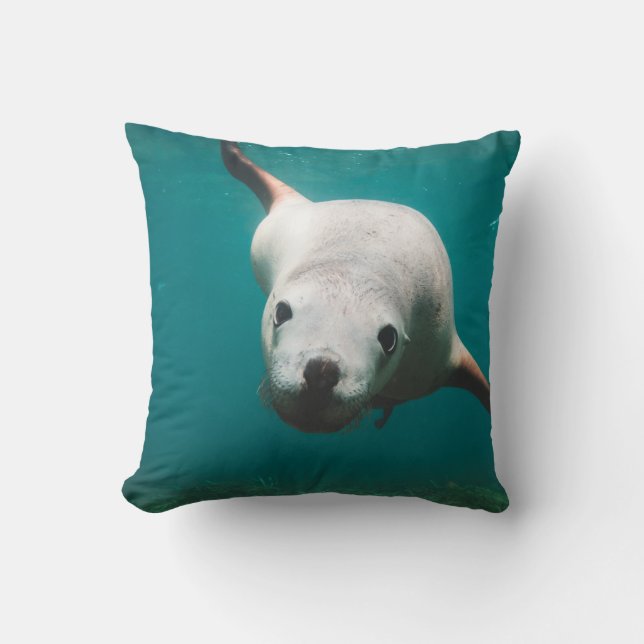 Sea Lion  Cushion (Front)