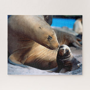 Sea Lion Family, Jigsaw Puzzle