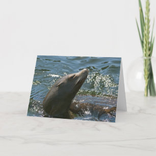 Sea Lion Greeting Card
