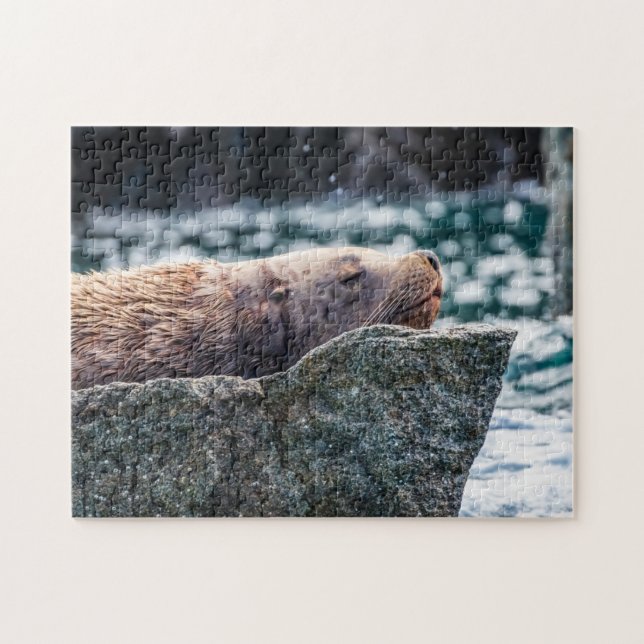 Sea Lion In Resurrection Bay, Alaska Jigsaw Puzzle (Horizontal)