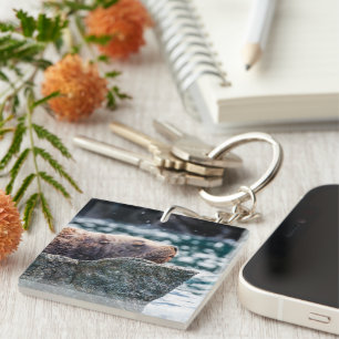 Sea Lion In Resurrection Bay, Alaska Key Ring