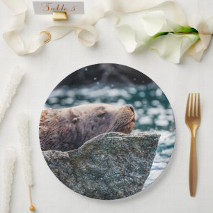 Sea Lion In Resurrection Bay, Alaska Paper Plate