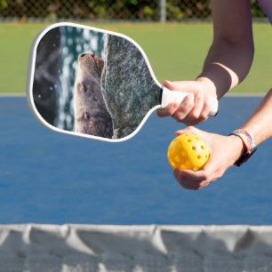 Sea Lion In Resurrection Bay, Alaska Pickleball Paddle