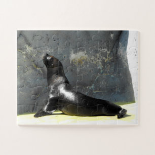 Sea lion jigsaw puzzle