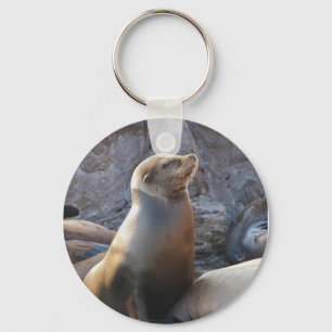 Sea Lion Key Ring