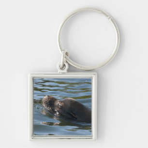 Sea Lion Key Ring