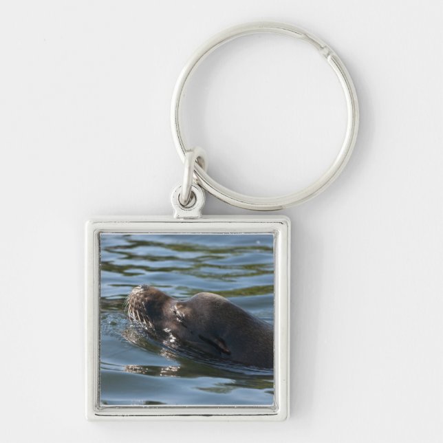 Sea Lion Key Ring (Front)