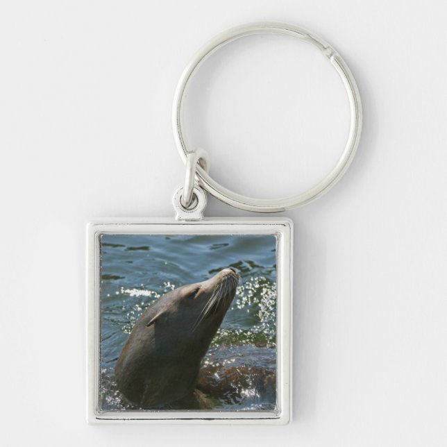 Sea Lion Keychain (Front)