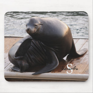 Sea Lion mouse mat