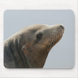 Sea Lion Mouse Pad