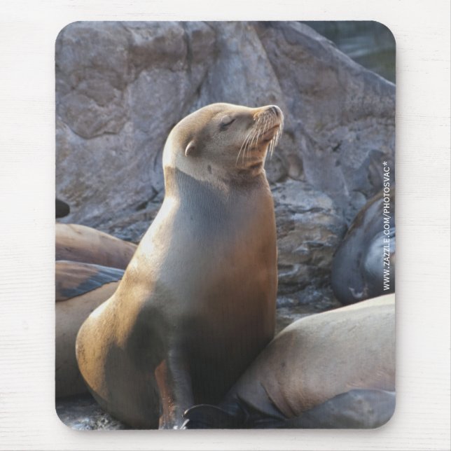 Sea Lion Mouse Pad (Front)