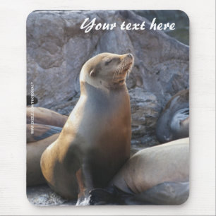 Sea Lion Mousepad