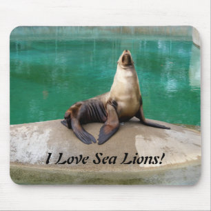 Sea Lion Mousepad