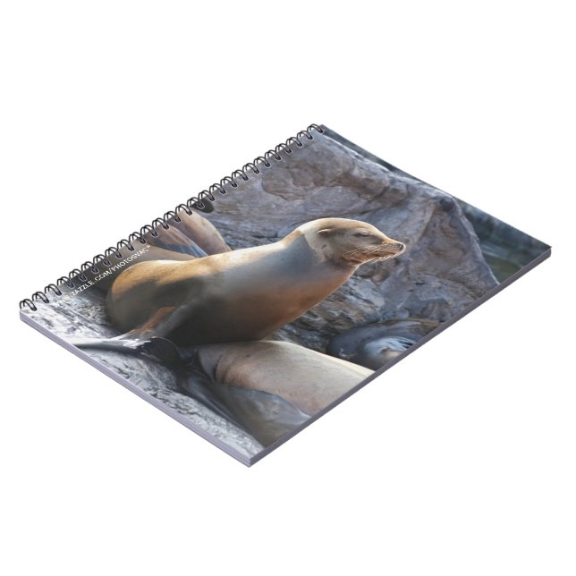 Sea Lion Notebook (Left Side)