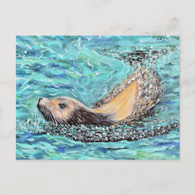 Sea Lion Painting Postcard (Front)