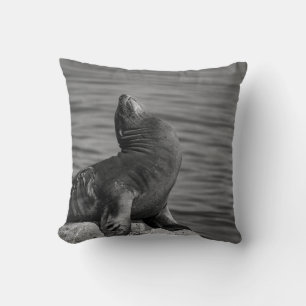 Sea Lion Perched on Rocks - Wildlife Photography Cushion